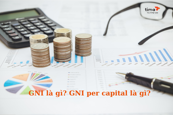 GNI là gì? GNI per capita là gì?